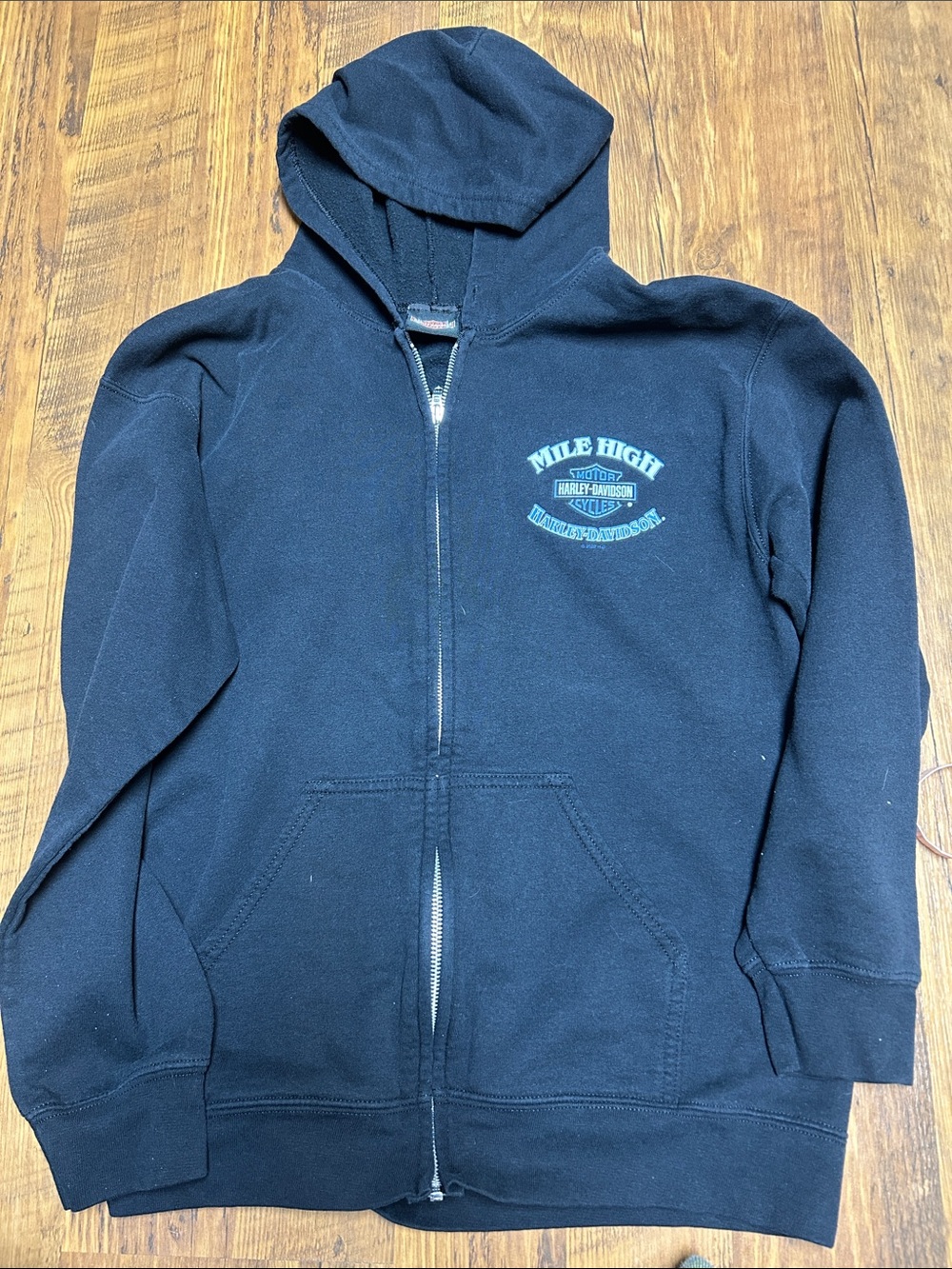 Harley-Davidson Black Mens Zip Hoodie with Teal Logo